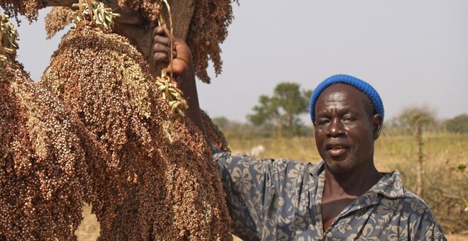 Seed Collecting, Conservation and Collaboration in West Africa