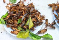 Fried crickets