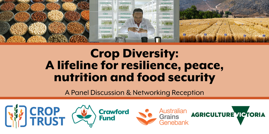 Crop Diversity: A lifeline for resilience, peace, nutrition and food security