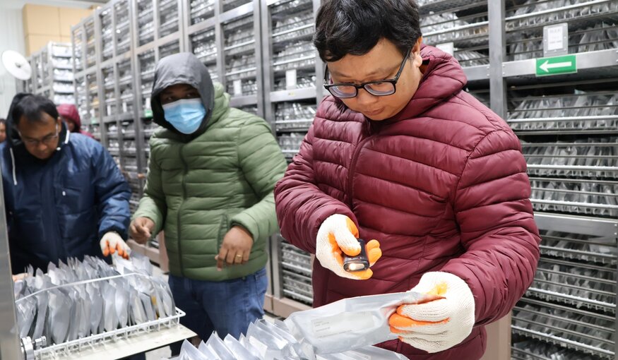 Building a Stronger Genebank Network, One Connection at a Time
