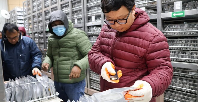 Building a Stronger Genebank Network, One Connection at a Time