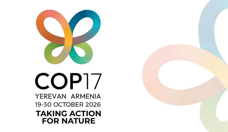 CBD COP 17