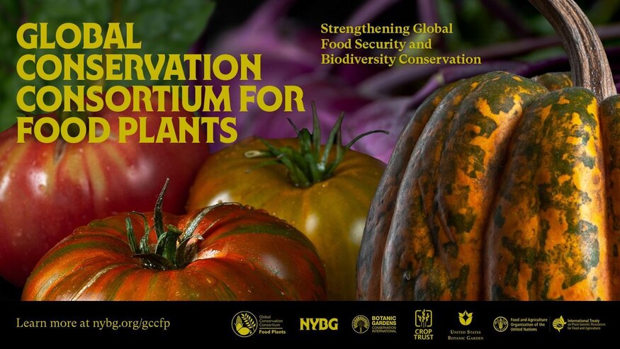 The Global Conservation Consortium for Food Plants Launches to Strengthen Global Food Security