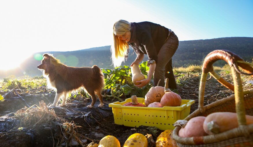 Photo: Luis Salazar/Crop Trust