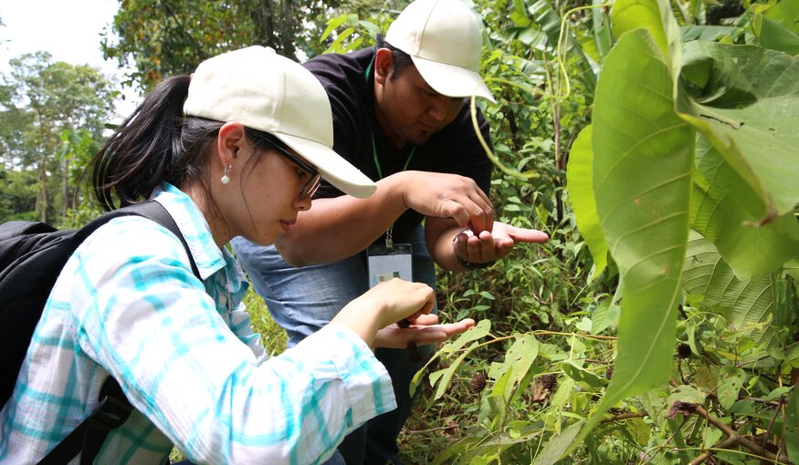 Crop Wild Relative's Gap Analysis