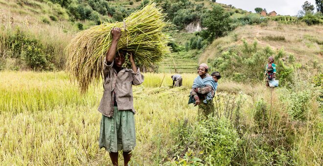 Adapt or Starve: COP27 Spotlights Agriculture Challenges and Solutions in the Face of Climate Change