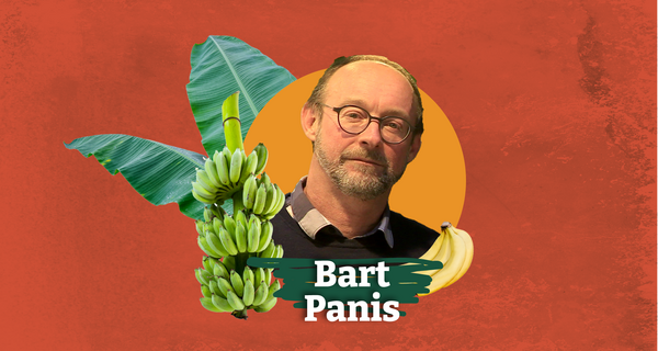 Bart Panis: Cryobank Scientist With a Marathon Vision for the Future of Bananas
