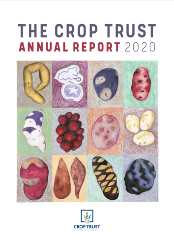 2020 Annual Report & Financial Statement
