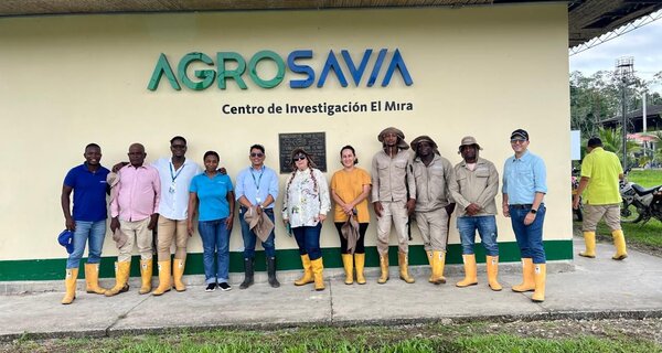 Colombia Steps Up for Crop Diversity: Inside AGROSAVIA’s Work with the Power of Diversity Funding Facility