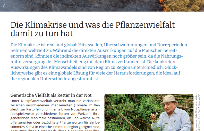 Die Klimakrise und was die Pflanzenvielfalt damit zu tun hat