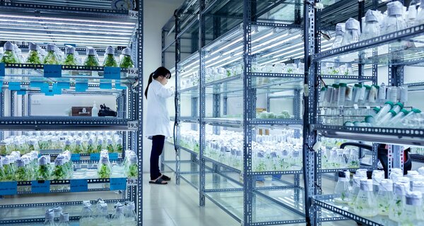 Crop Trust and the Plant Treaty Launch Lifeline for Genebanks to Secure the Future of Crop Diversity