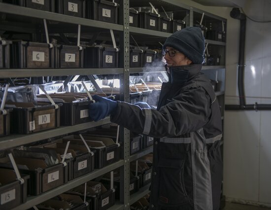 Staff at the Warwick Genetic Resources Unit prepare seed samples for their latest shipment to the Svalbard Global Seed Vault. This year’s deposit includes 286 vegetable accessions, representing crops such as Brassicas, carrots, and lettuce. Photo: Warwick Genetic Resources Unit