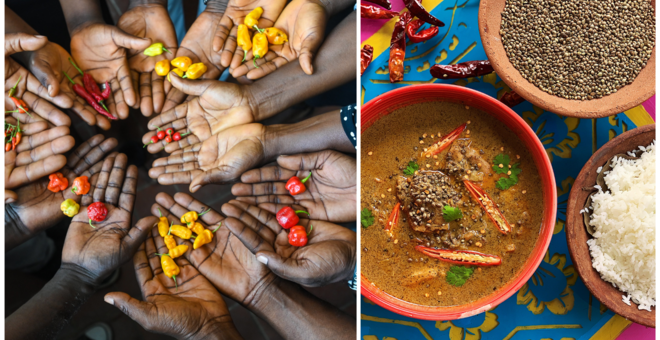 Celebrating the colors and shapes of chilli diversity. (Photos: Shawn Landersz/Crop Trust and Megha Kokli)