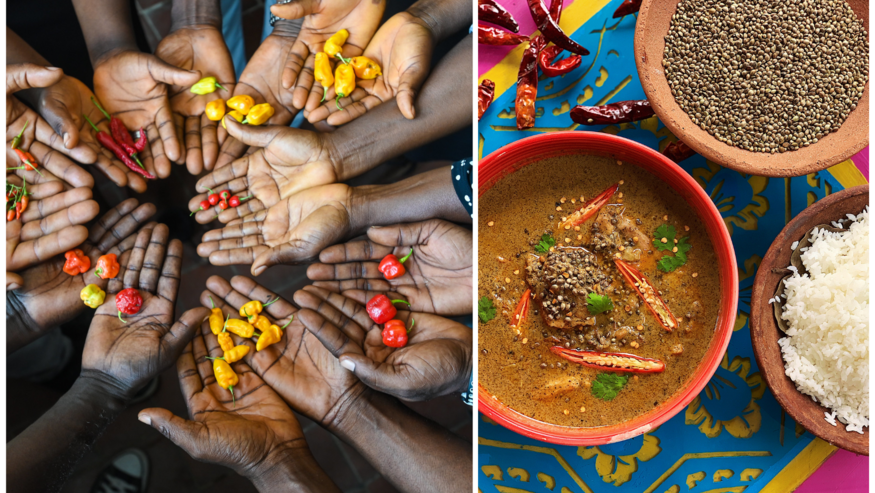 Celebrating the colors and shapes of chilli diversity. (Photos: Shawn Landersz/Crop Trust and Megha Kokli)