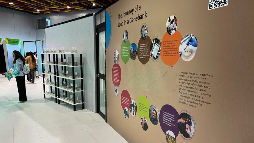 International Partners Launch Immersive Exhibition at GB-11 in Peru