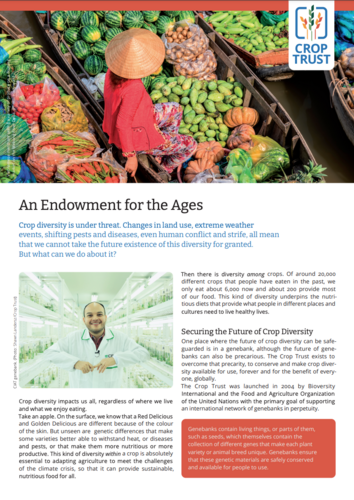An Endowment for the Ages