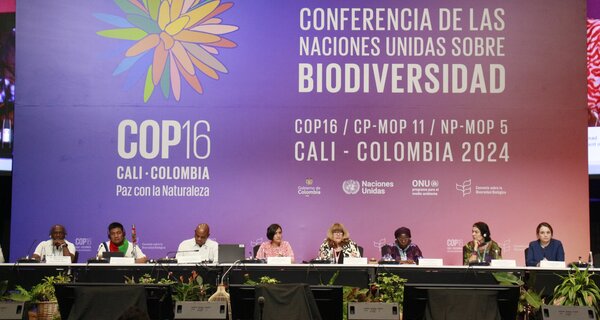 COP16 biodiversity conference panelists