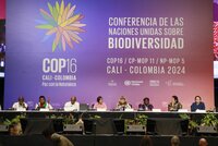 COP16 biodiversity conference panelists 