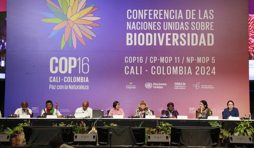 COP16 biodiversity conference panelists