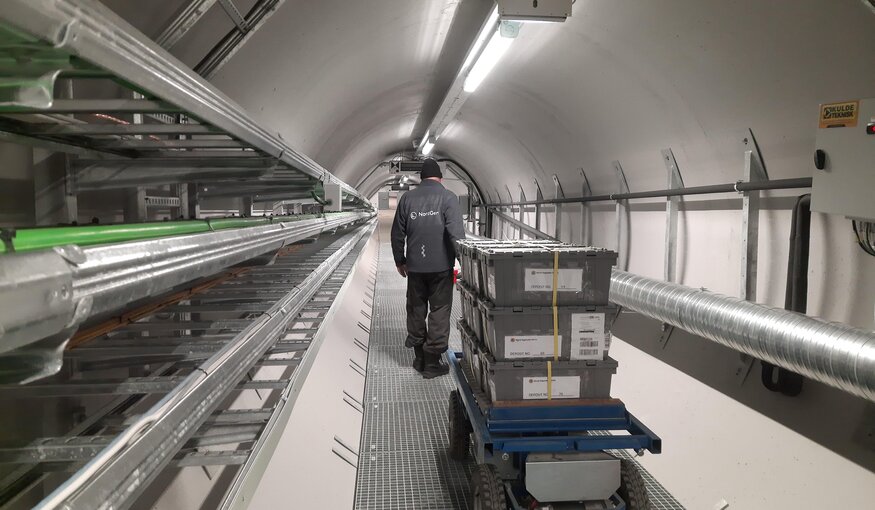 More than 30,000 Seed Samples from Seven Genebanks Secured in Svalbard Global Seed Vault