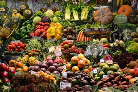 A Global Rescue Plan for Fruit and Vegetable Diversity