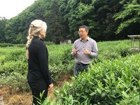 Professor Liang Chen of the China National Germplasm Hangzhou Tea Repository in tea field / Courtesy of Liang Chen