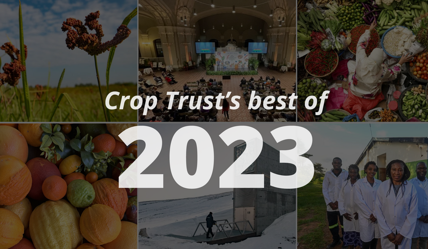 Celebrating Crop Trust's Achievements in 2023