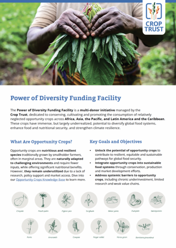 Power of Diversity Funding Facility
