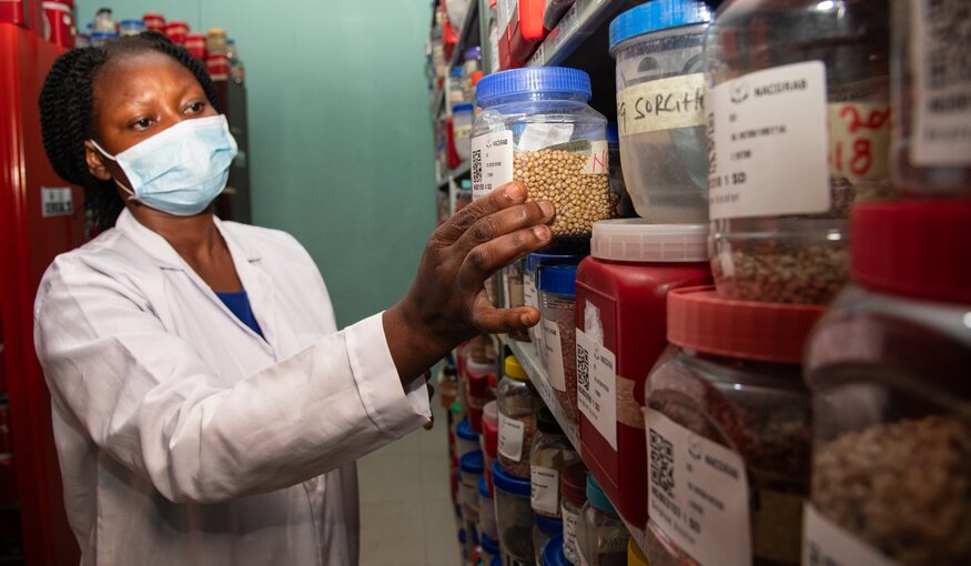 Call for Action: Secure the Financing of Genebanks to Strengthen Resilient, Productive, Sustainable and Healthy Food Systems