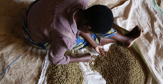 Woman sorting beans in Rwanda