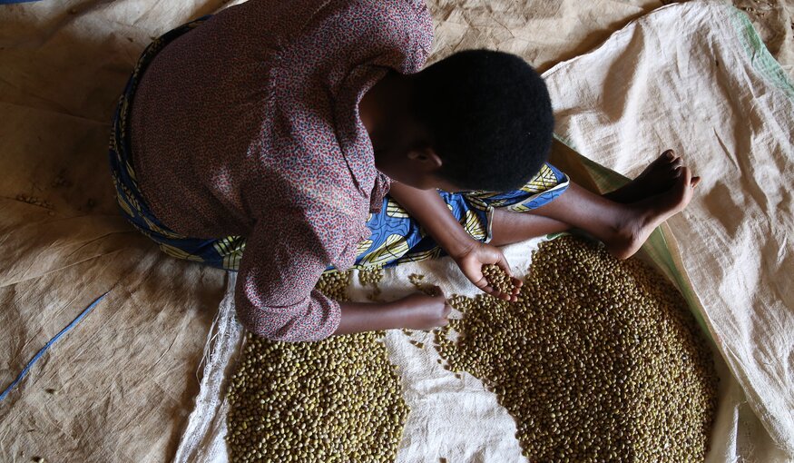 Woman sorting beans in Rwanda