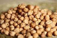 A cool-season crop, chickpea is one of the most nutritionally-packed of all the grain legumes. Chickpea seeds contain on average 23% more protein than other legumes, with no anti-nutritional or toxic factors. With the new deposit, ICARDA has deposited over 6,500 types of chickpea to date.