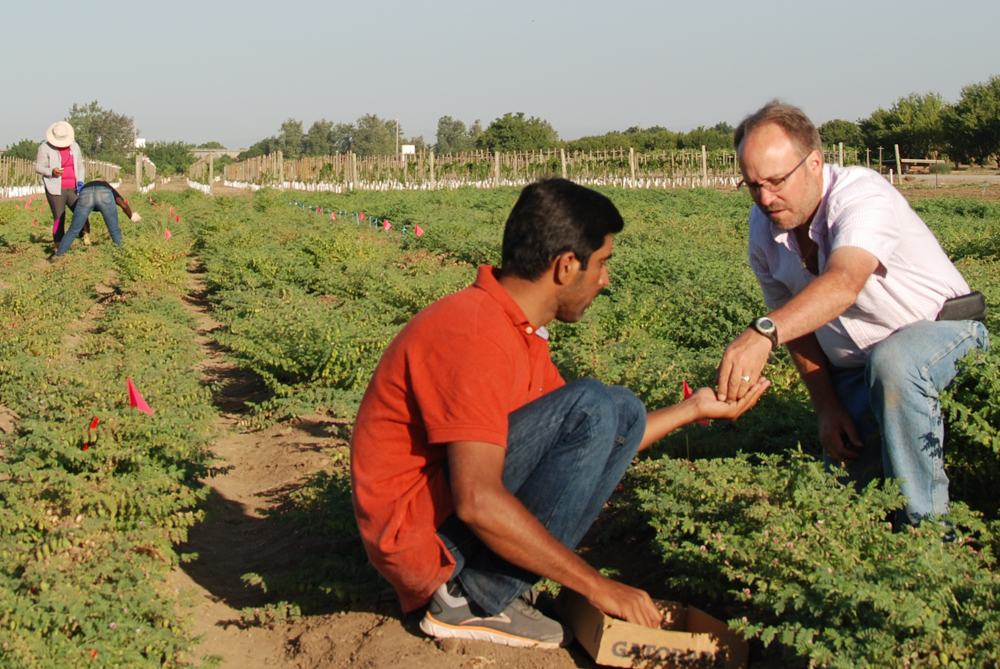 Two men working in plantation field