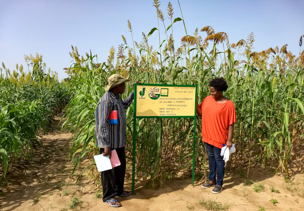 Aly Boubacar consults with Colette Ouedraogo