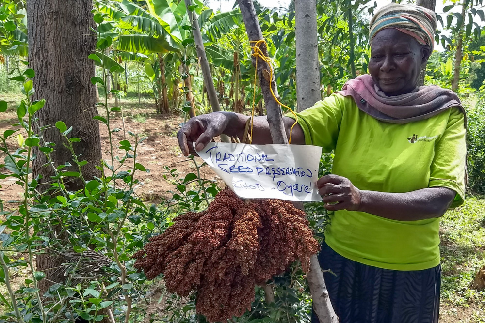Rose Ouma, a sorghum farmer