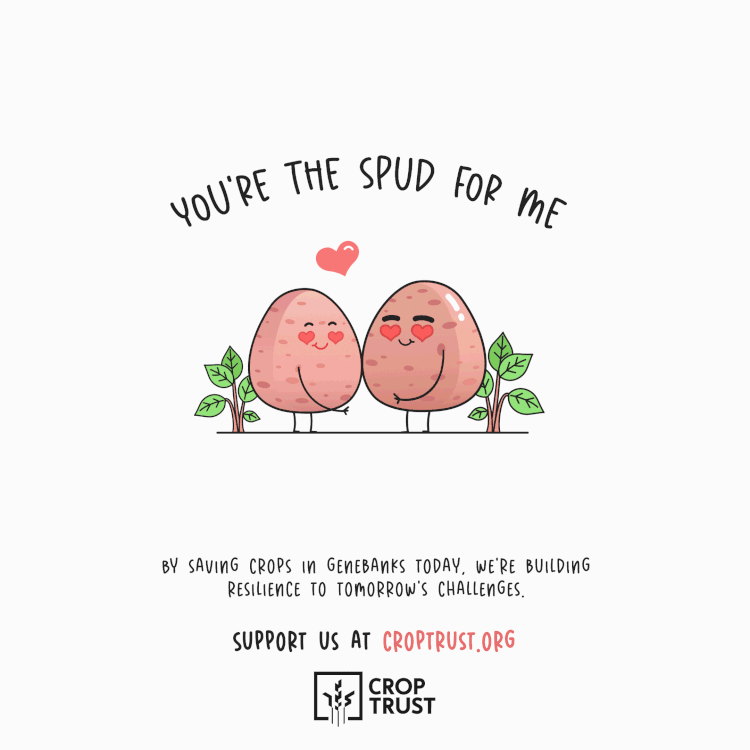 you're the spud for me gif card