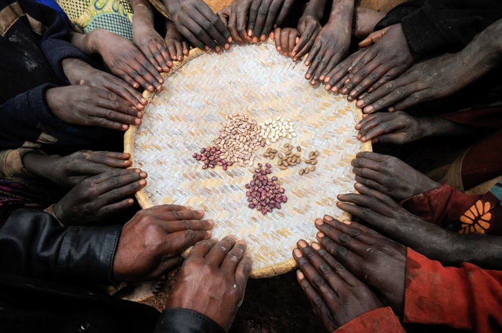 Beans on a basket held by many hands.