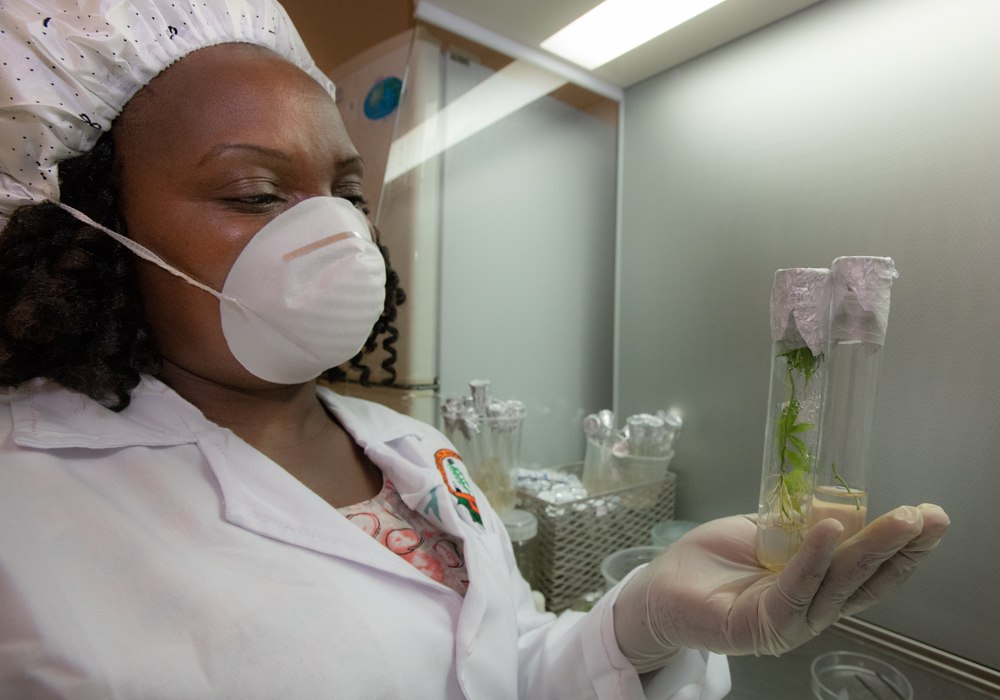 Woman holding test tubes.