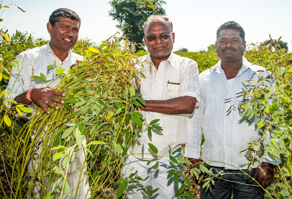 Three men in a field.