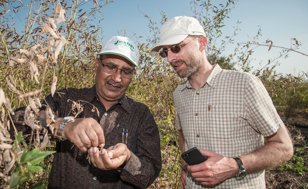 Two men in pigeonpea field.