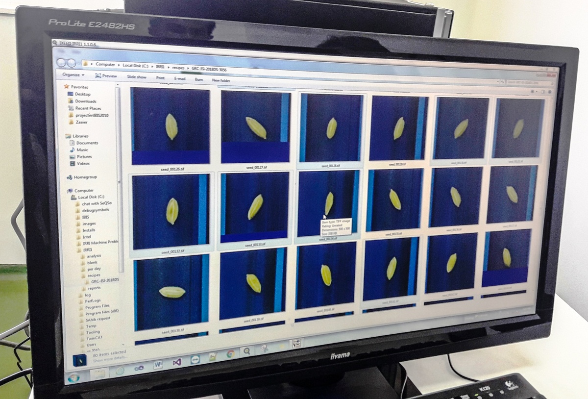 Seed images on computer screen.