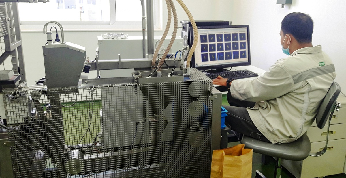 Genebank staff reviewing images of seeds on computer screen.