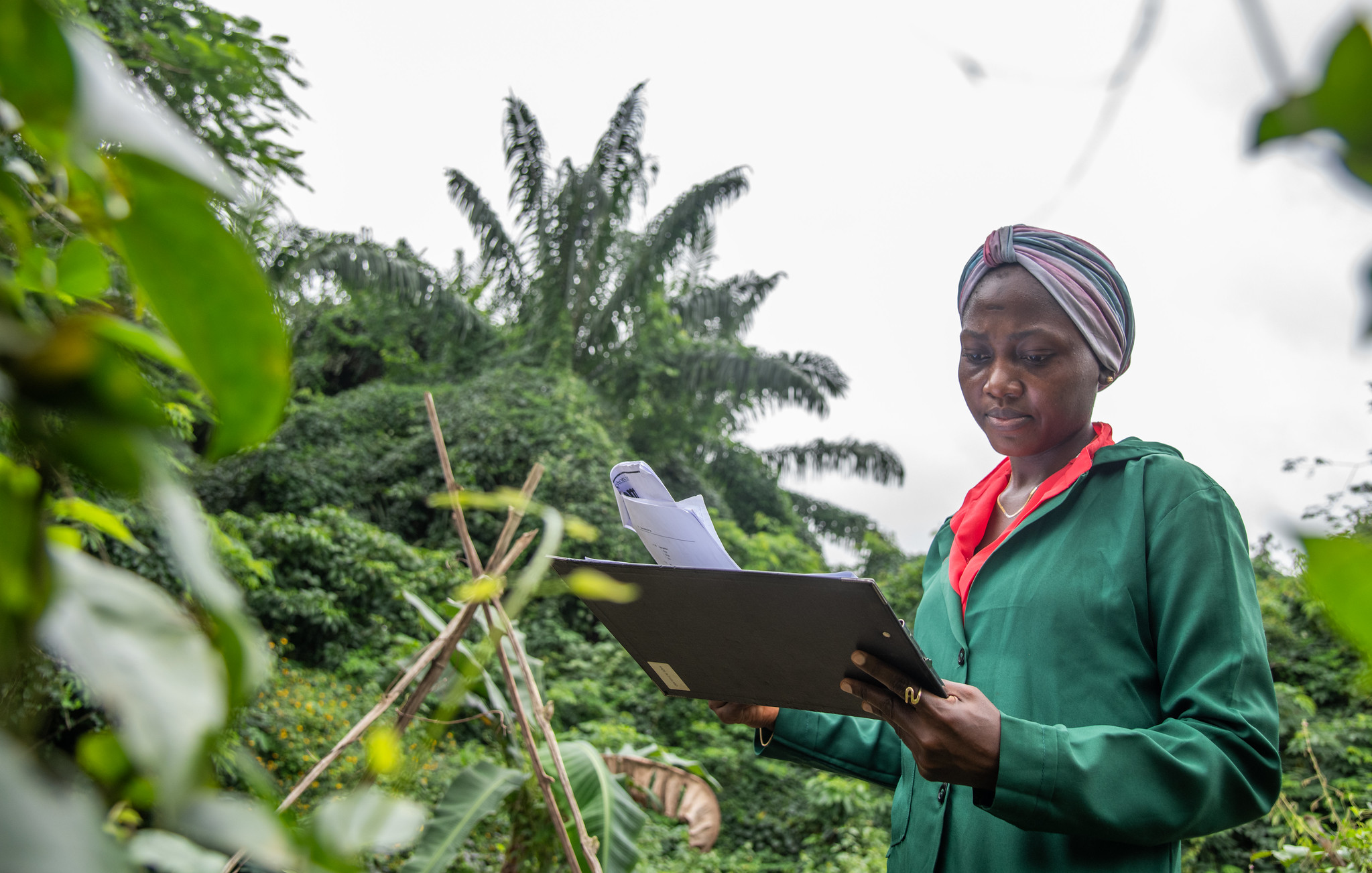 Global Crop Conservation Strategies