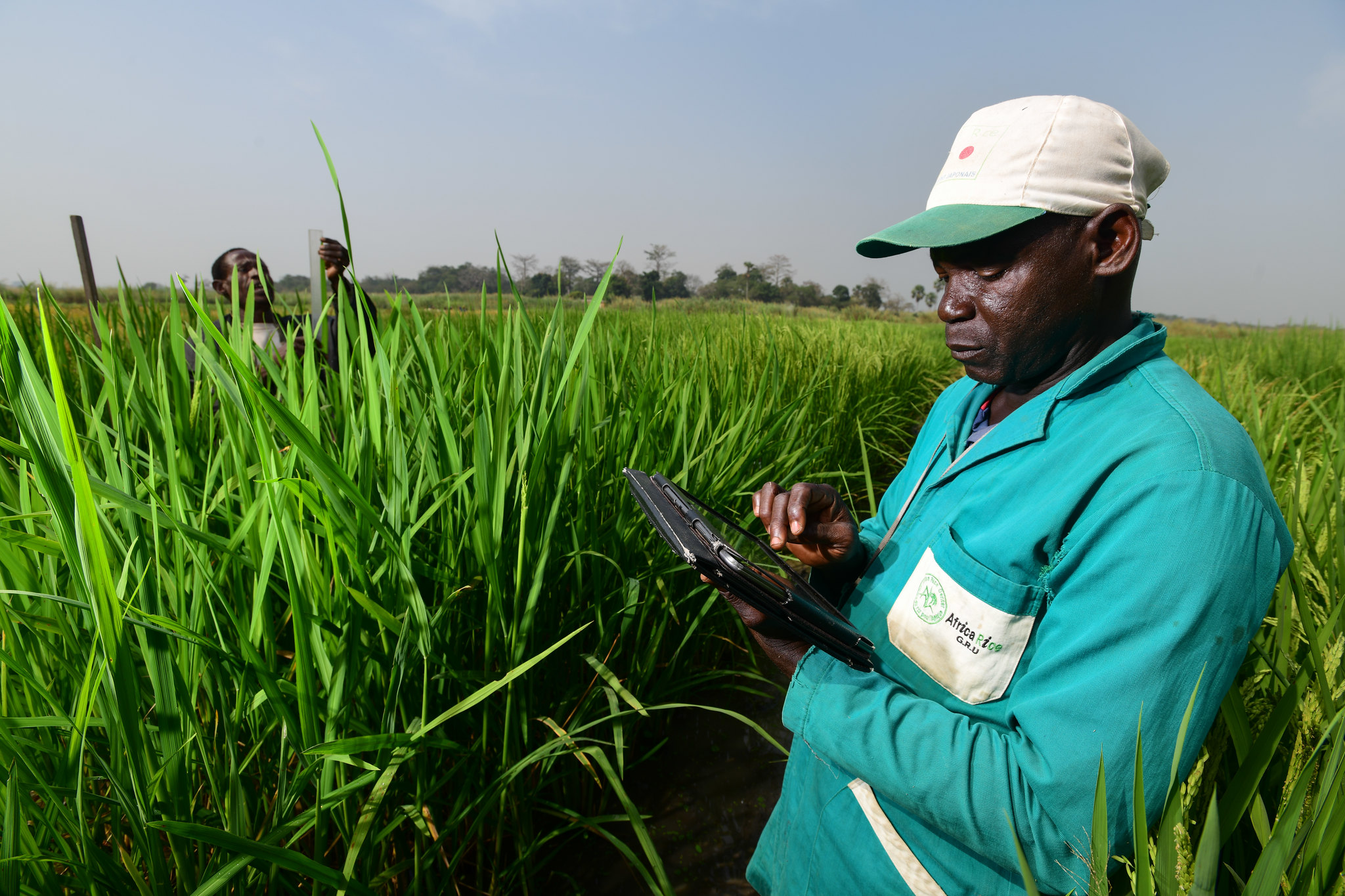 Introduction to Documenting Plant Genetic Resources for Food and Agriculture