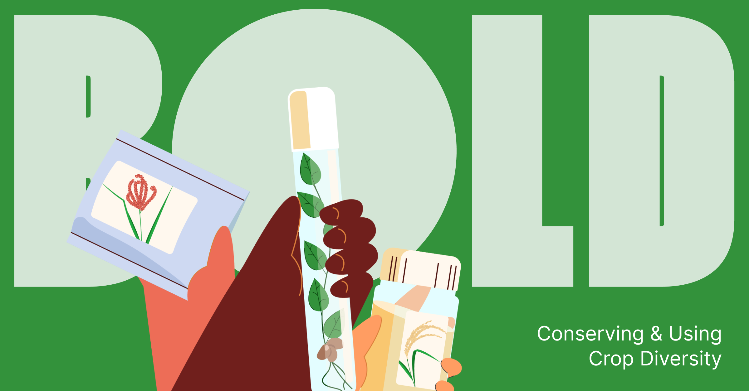 Conserving and Using Crop Diversity