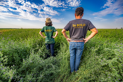 Pre-breeding Project Management