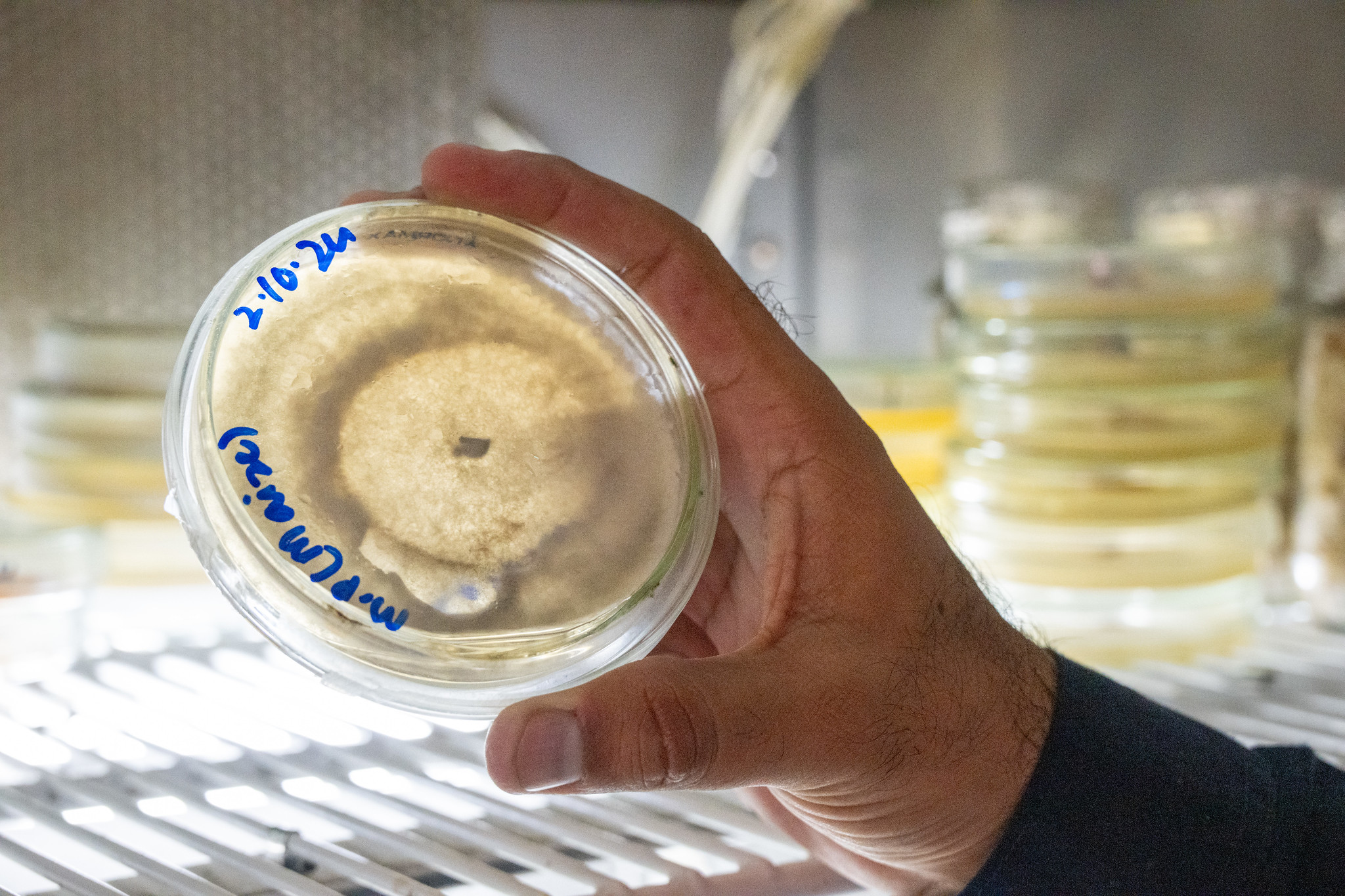 Seed Conditioning 106 - Caryover Seed, Inventory and Storage