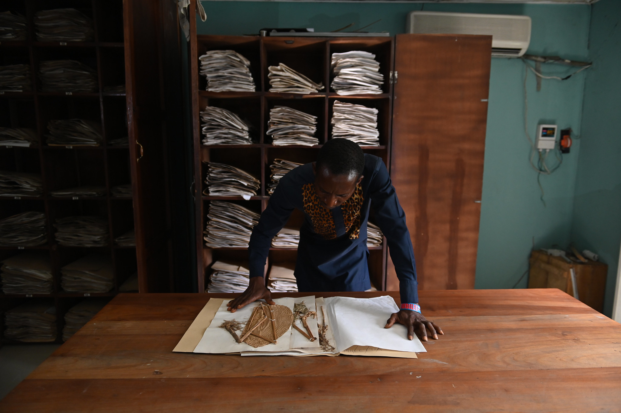 Seed Processes: Storage and Deterioration