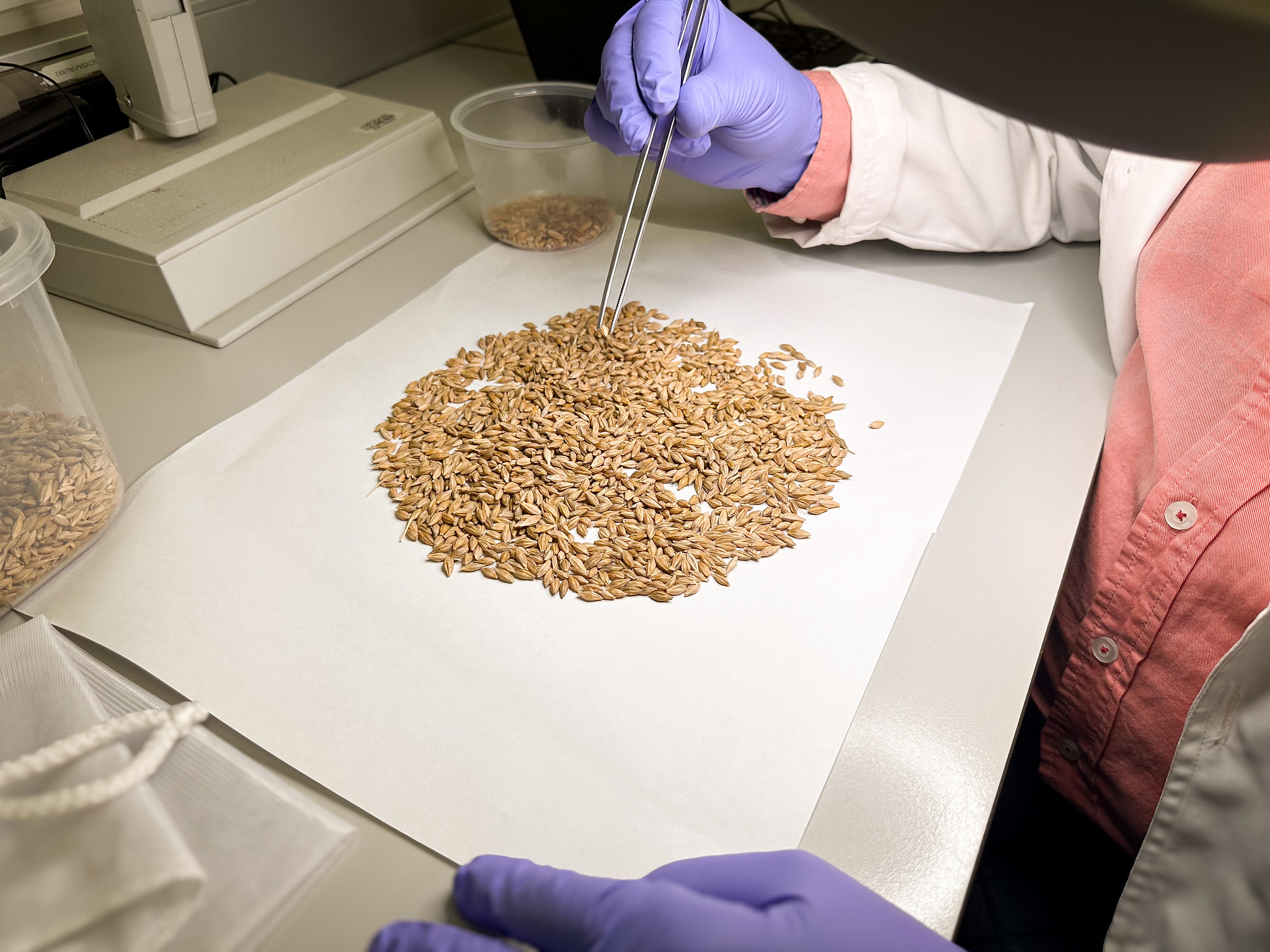 Seed Conservation Techniques