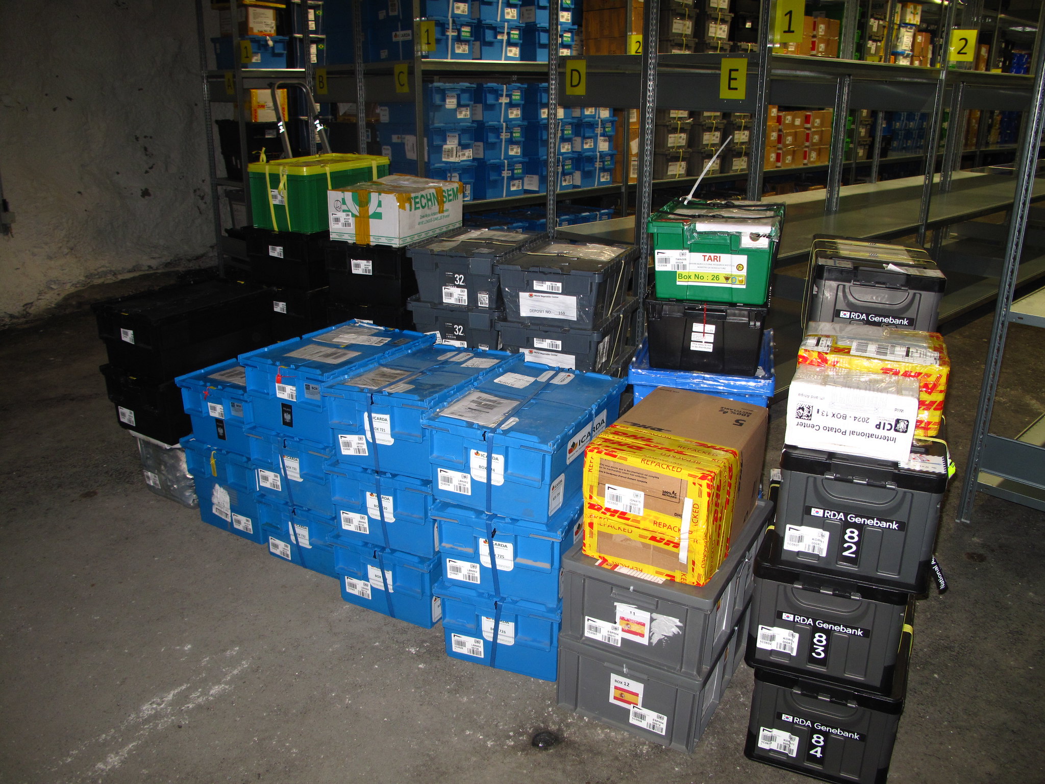 The Global Information System